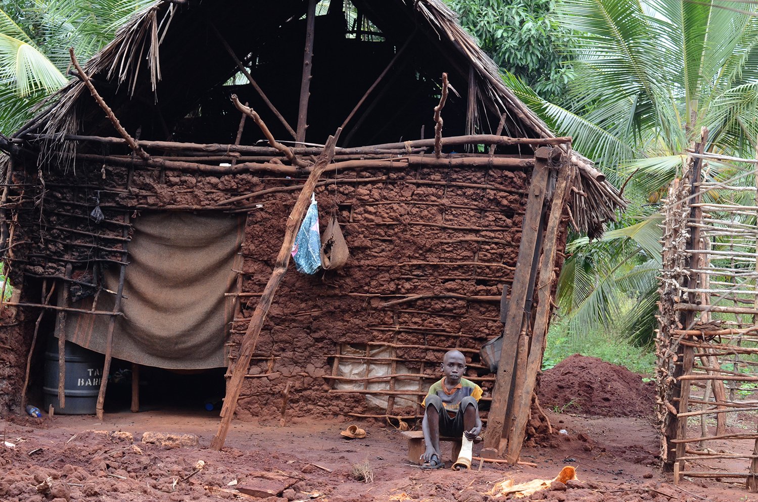 A boy sits outside a damaged house surrounded by tropical vegetation.